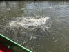 Our polluted canal water shower.....pass the antibiotic please!!!