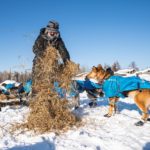 Michele sthrowing down straw for the dogs at Finger Lakes