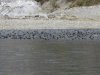 IMG_7035