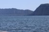 Phenomenal whale show day in Stephen's Passage and Seymour Canal......had over 38 Humpback whale sightings