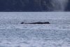 Some of the sightings were up close and personal!!