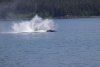 Captures a whale doing a tail slapping show!!