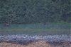 IMG_8581-2