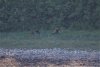 IMG_8585-2