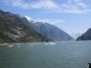 IMG_8151