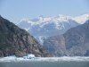 IMG_8153
