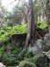 Mark, Roseanne and John took the hike to the El Capitan Cave....up 370 steps!!!