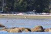 IMG_9681-2