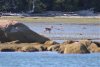 IMG_9708-2