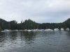 IMG_5419