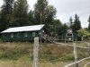 Billy Proctor's museum