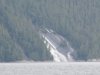 Leaving Pierre's for Kwatsi Bay with lots of waterfalls!!