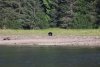 We even had a bear show!!