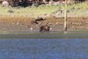 IMG_0015-2