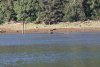 IMG_0034