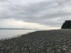View of Queen Charlotte Sound from the rocky beach at Rebecca Spit