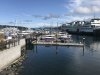 This is the dock we stayed at in 2005 in Friday Harbor.....where it all began!!!