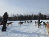 IMG_8664
