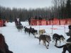 IMG_8739