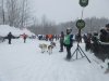 Working our way to the start line