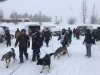 IMG_7118