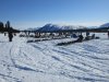 IMG_8810