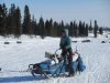 Paige Drobny, a top musher