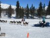 IMG_8818