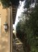 A nice trim job done by Louis, our new gardener!!