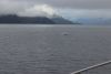 Heading north in Behm  Canal to Fitzgibbon Cove
