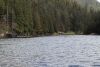 Remnants of Bells Island Hot Springs.....rumored to be John Wayne's favorite back in the day!!
