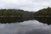 Very still morning.....love the reflections!!