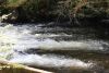 Stream flowing hard but in a month or so full of bears and salmon