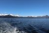 Looking back to Kelp Bay from Chatham Strait