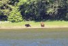 I'll follow you anywhere!!!