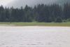 View from our anchorage at the huge meadow at high tide