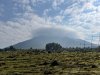 IMG_0075