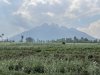 IMG_0133