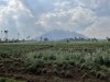 IMG_0131
