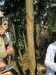 These are scratches made in the Eucalyptus trees by the gorillas to eat the bark and/or the sap.