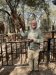 We fed them pellets made from molasses....yep, a nice treat.....they rotate in/out the various giraffes
