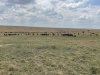 IMG_0285