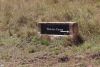Our camp for the next 3 nights. Kiboko means hippopotamus in Swahili