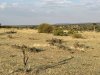 IMG_0395