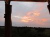 Somewhat cloudy this morning so will not see the sunrise:(((