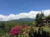 View from my veranda