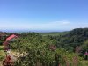 IMG_7464