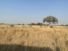 IMG_0608
