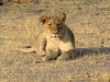 One of the female guards