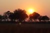 Sunrise Day 2 at Qorokwe camp.....still a lot of smoke in the air!!